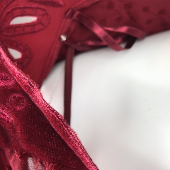 2X 3X Style & Co Burgundy Swiss Dot Velvet Top - Picture 7 of 7